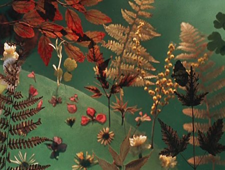 Катерок (Союзмультфильм, 1970 г.) Катерок